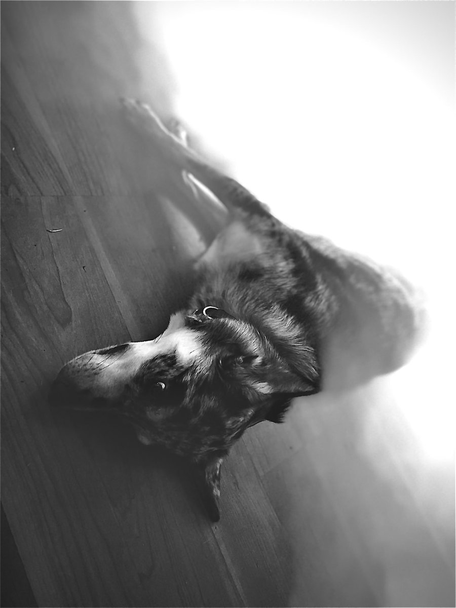 Abc Defg Hi JK tweet media