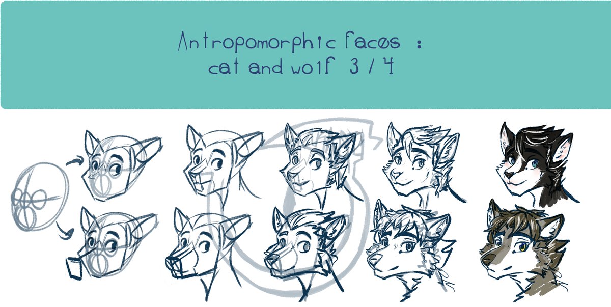 sakarys_art's tweet photo. Smoll #tutorial #furryart #furry #wolfface #catface https://t.co/ZaafG2EjxO