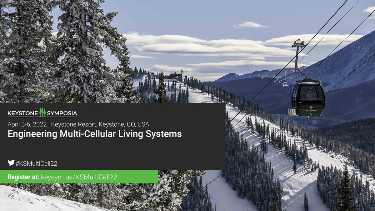 Join me in April @KeystoneSymp Engineering Multi-Cellular Living Systems! Connect with field pioneers in Keystone or via virtual access to discover novel #Bioengineering tools and strategies. keysym.us/KSMultiCell22 #KSMultiCell22