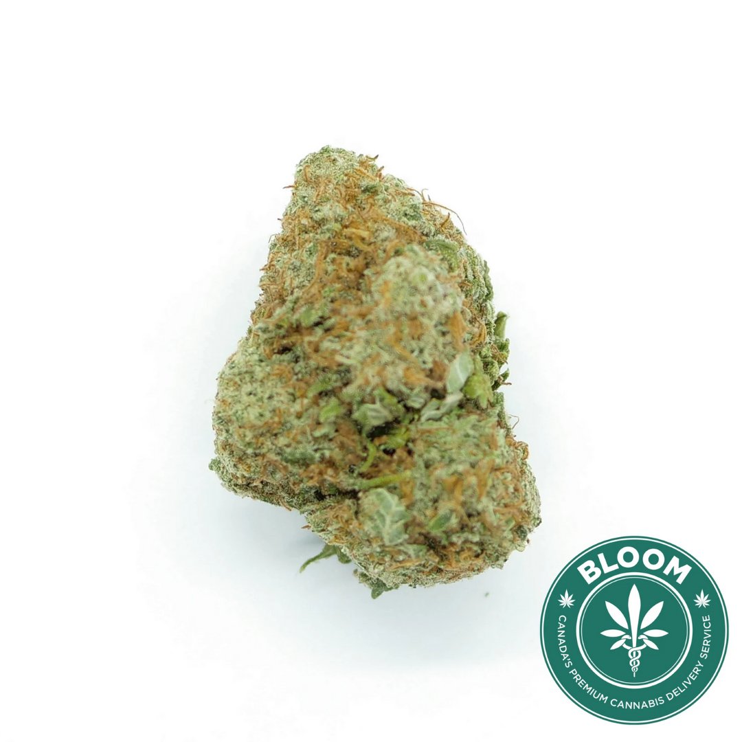 bloom_cannabis's tweet photo. Chemdog is known for its distinct, diesel-like aroma. 

#cannabisphotography #cannabiscommunity #weed #hightimes #stoner #shrooms #smoke #indica #sativa #hemp #maryjane #medicalmarijuana #weedlife #Toronto #Etobicoke #NorthYork #Scarborough #Vaughan #Markham https://t.co/siZ1LnJuMc