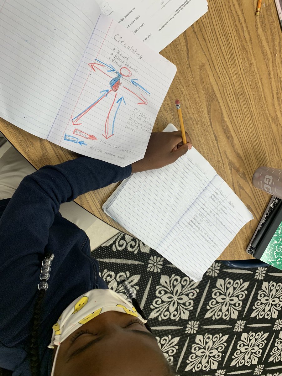 Learning about the circulatory system! Listening to our hearts beat at rest and after activity. Doctors in training! 🧑🏾‍⚕️👩🏾‍⚕️🩺❤️<a href="/DicksonTigers/">E.R. Dickson Tigers</a> @PrincipalERD