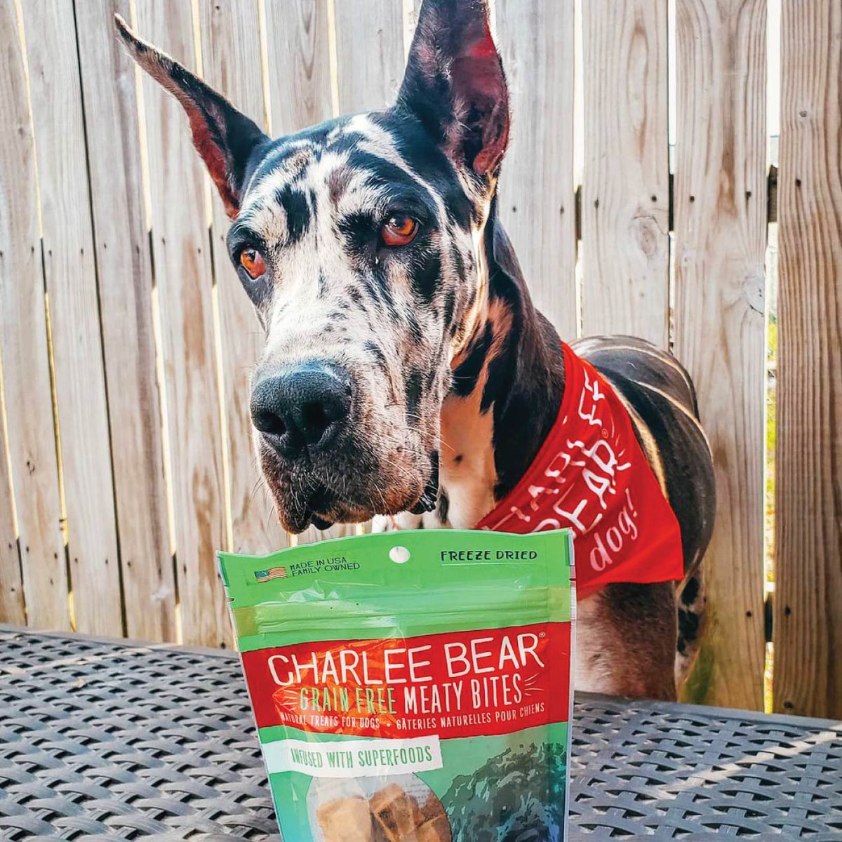 Who’s #hungry 🍽? Charlee Bear Meaty Bites treats appeal to #appetites big and small! 
📷: @milly_vanilly_gd #hangry #greatdane #yum