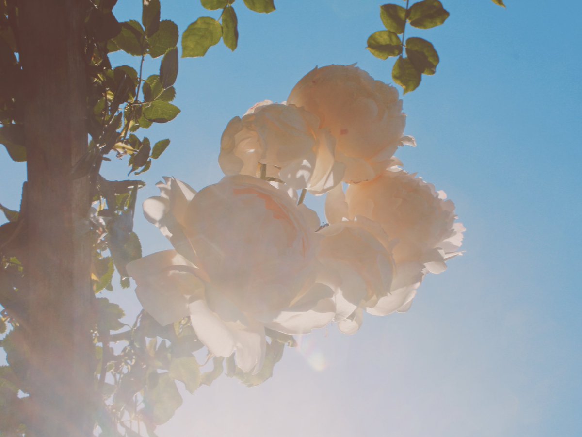 Day 10 - Unintended love