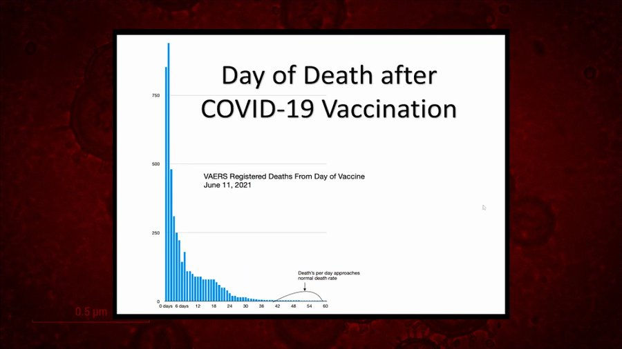 1ktb's tweet photo. @DickPoochie @joeba @justin_hart #COVID19 #vaccination Death #Facts:

# of covid shots administered (309 million) = near same as all other vaccines combined (316 million); yet shocking 36x more deaths reported to VAERS. 

(Increased Deaths follow Vaccine Program Globally https://t.co/IUGFKhwjMx) https://t.co/XIoL7NAgNJ