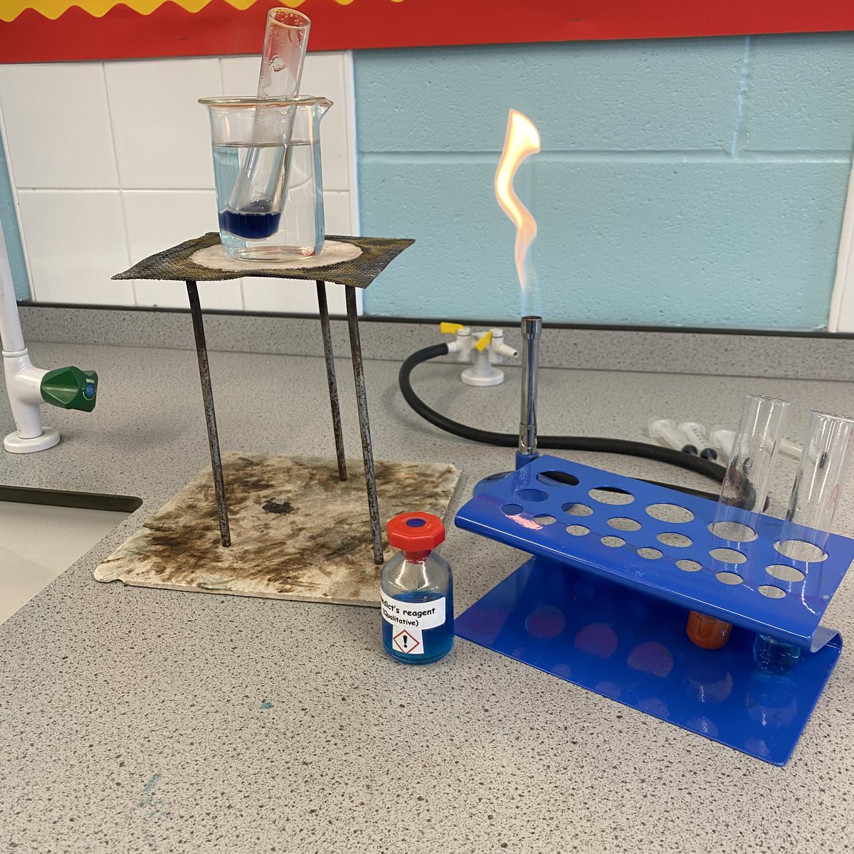 ea_science's tweet image. Mrs Gray testing for reducing and non-reducing sugars today with our A-level biologists! #Biology #School #edutwitter