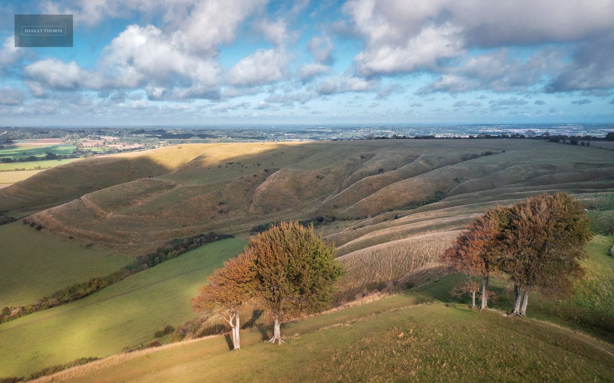 Good evening, I hope you are well. Today I am posting a view from Oliver's Castle across the eroded chalk escarpments and battlefield of Roundway Down towards Beacon Hill. #wiltshire HedleyThorne.com #roundwaydown #oliverscastle