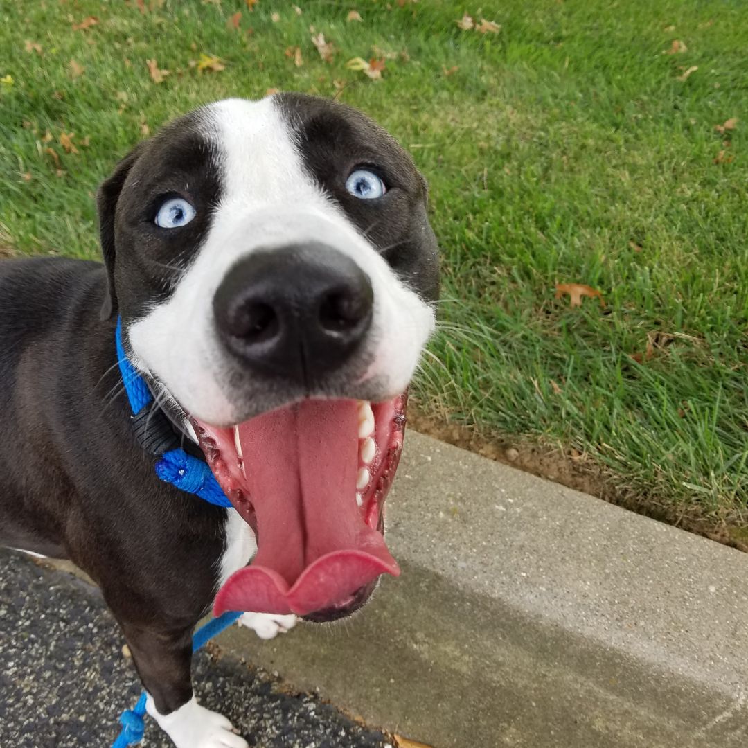 Lacey Fuson Lacern Twitter