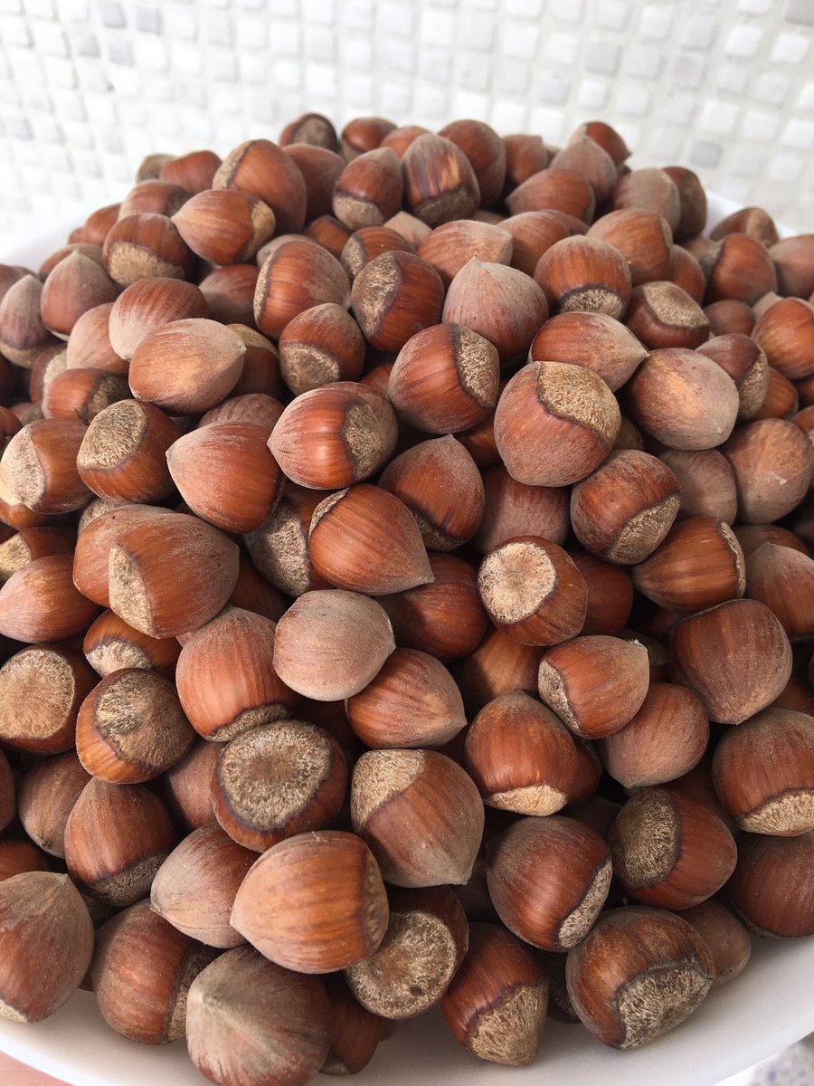 Yeni mahsül Giresun tombul fındık gelmiştir. Kendi bahçemizden. Yağ oranı yüksek olduğundan lezzeti de çok güzeldir. Bu şekilde fırına atıp kavurursanız daha lezzetli olur. 200 derecede 20/30 dk karıştırarak renk değişinceye kadar kavrulur. #fındık #giresunfındık