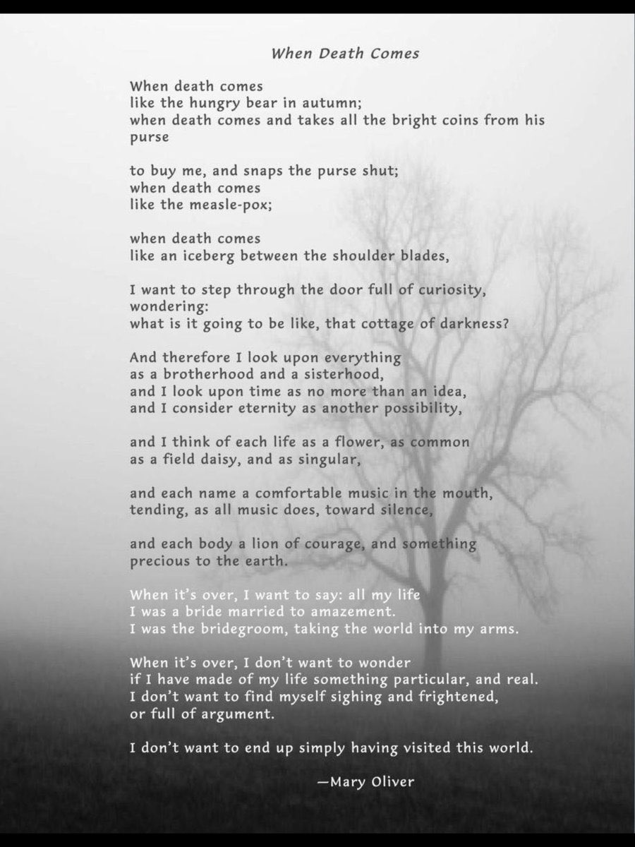 JulieRohrYEG's tweet image. “This is goodbye for now. I leave you with some of my favourite poems, “Epitaph,” by Merrit Malloy, &amp;amp; words of Mary Oliver. Be good to each other. Be kind to yourselves. May you open your heart to love even though it means inevitable pain.” (9)