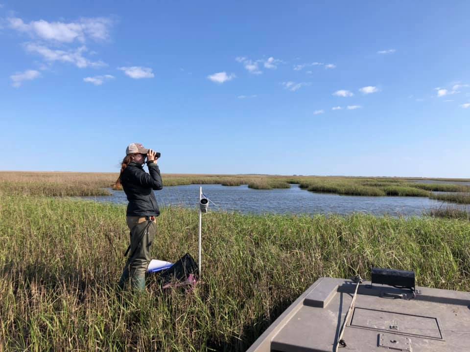This could be your office! We're hiring for our spring field season in coastal Louisiana. Looking for 4 techs to do marshbird surveys, see link for more details and help us spread the word! <a href="/Joe_Youtz/">Joe Youtz</a> <a href="/WaterbirdSociet/">Waterbird Society</a> <a href="/LDWF/">LaWildlife&Fisheries</a> <a href="/LSU/">LSU</a> 
wfscjobs.tamu.edu/jobs/secretive…