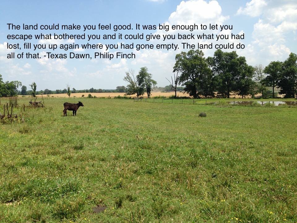 Matt Bogard tweet media