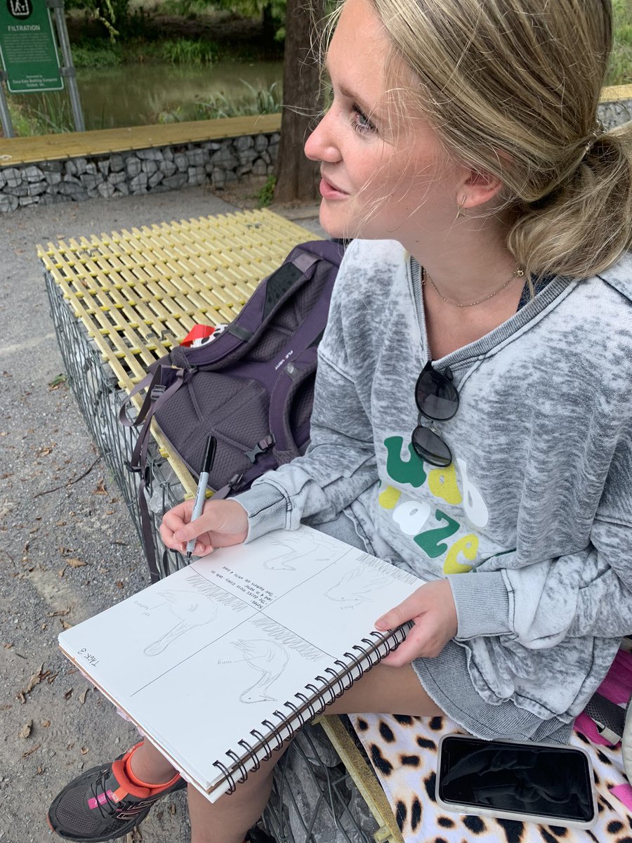 drjenn13's tweet photo. Our classroom today! Observations, inquiry, and nature journaling.  @UABEducation @RailroadPark #uabteachersrock #learningbeyondthefourwalls https://t.co/XsgXgqefpC