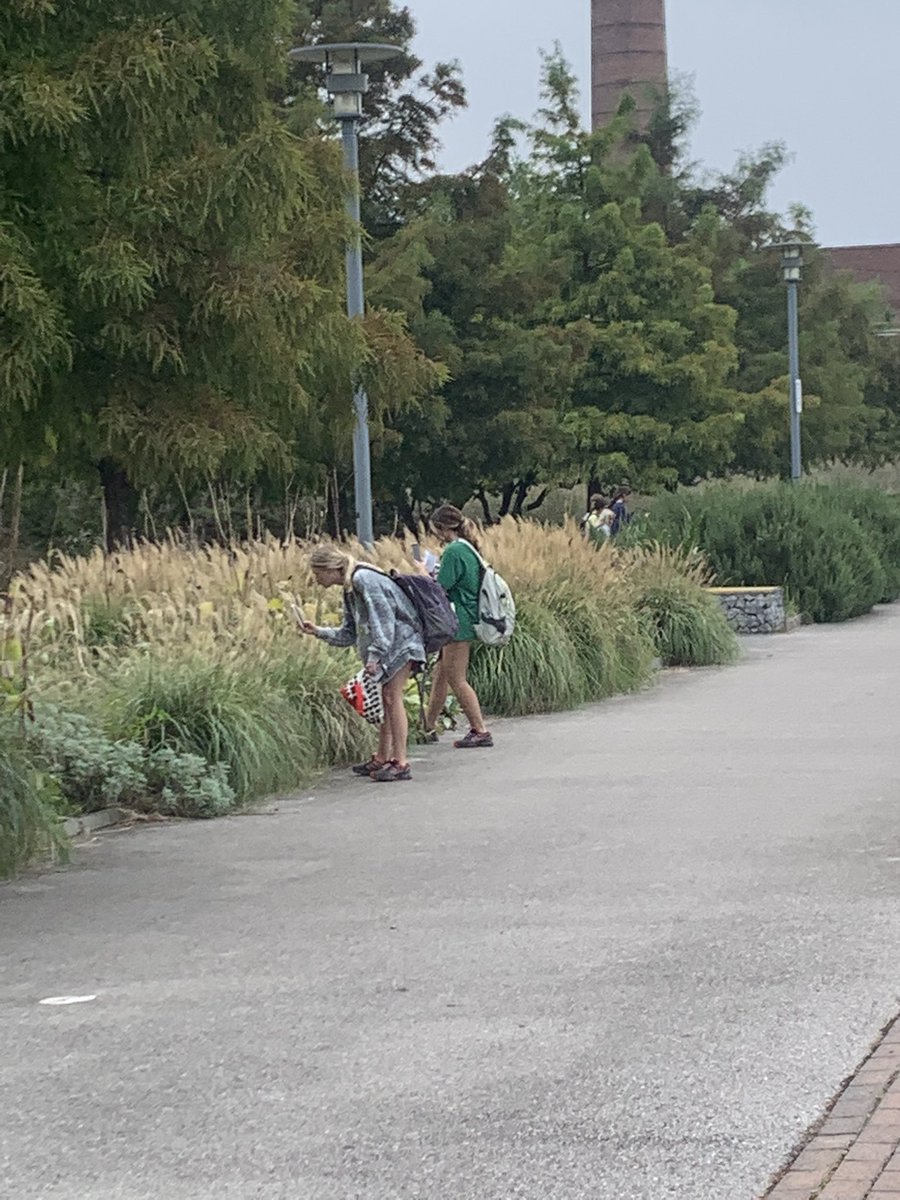 drjenn13's tweet photo. Our classroom today! Observations, inquiry, and nature journaling.  @UABEducation @RailroadPark #uabteachersrock #learningbeyondthefourwalls https://t.co/XsgXgqefpC