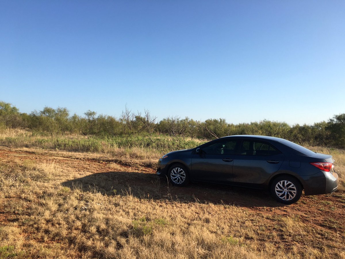 RebeccaAKoll's tweet image. If you were curious whether or not a Corolla could get someone deep into the Texas ranch land, the answer is YES. But, honestly, I’m still not sure how and probably wouldn’t try it again. #paleobotany #fieldworkWIN #permianorbust
