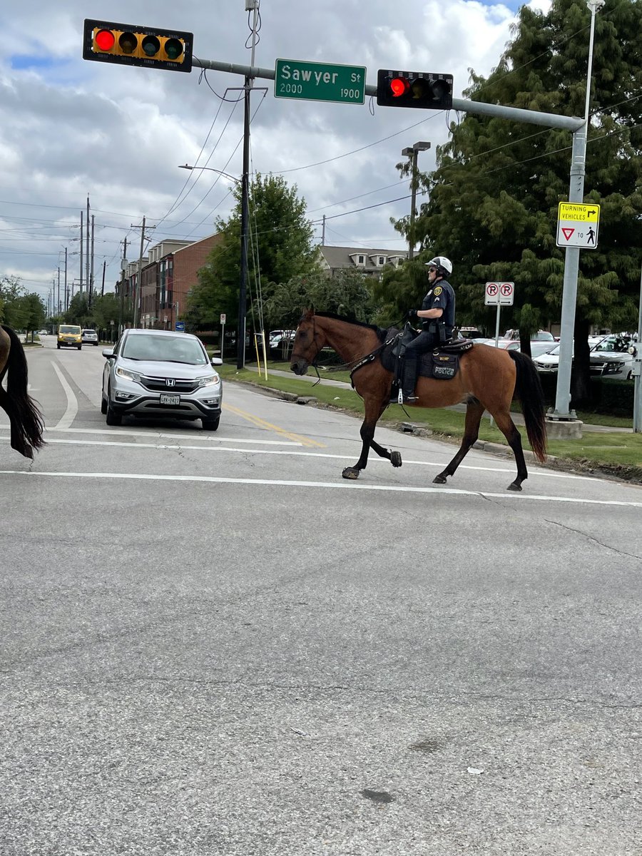 Triage4Tax's tweet photo. Real Life in Houston Texas @houstonpolice @HstnPoliceFndtn #HoustonMountedPatrol #HoustonPoliceonHorses #HoustonPolice #PoliceHorses #LifeInTexas #HoustonPoliceDepartment @HPOUTX #picturesofhorses #HPD #HoustonLawEnforcement @SawyerYardsHTX https://t.co/pgW5eImm1h