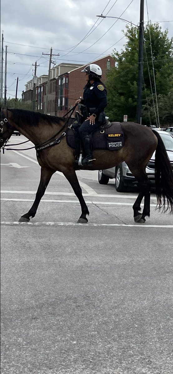Triage4Tax's tweet photo. Real Life in Houston Texas @houstonpolice @HstnPoliceFndtn #HoustonMountedPatrol #HoustonPoliceonHorses #HoustonPolice #PoliceHorses #LifeInTexas #HoustonPoliceDepartment @HPOUTX #picturesofhorses #HPD #HoustonLawEnforcement @SawyerYardsHTX https://t.co/pgW5eImm1h