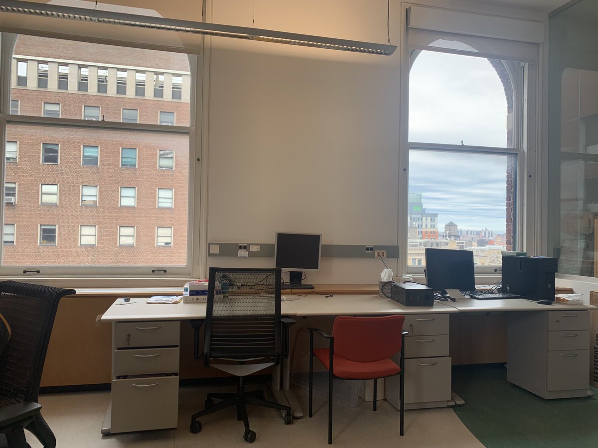 rattus_mattus's tweet photo. Do you like building models and vector-borne diseases?? Apply for a postdoc in the Diuk-Wasser lab at Columbia University in NYC! Lots of projects with data ready to go, at least 60k &amp; benefits (yay unions!), and an office with GIANT WINDOWS. Please RT! https://t.co/dir0ZTXbzx https://t.co/lkP05vU7zc