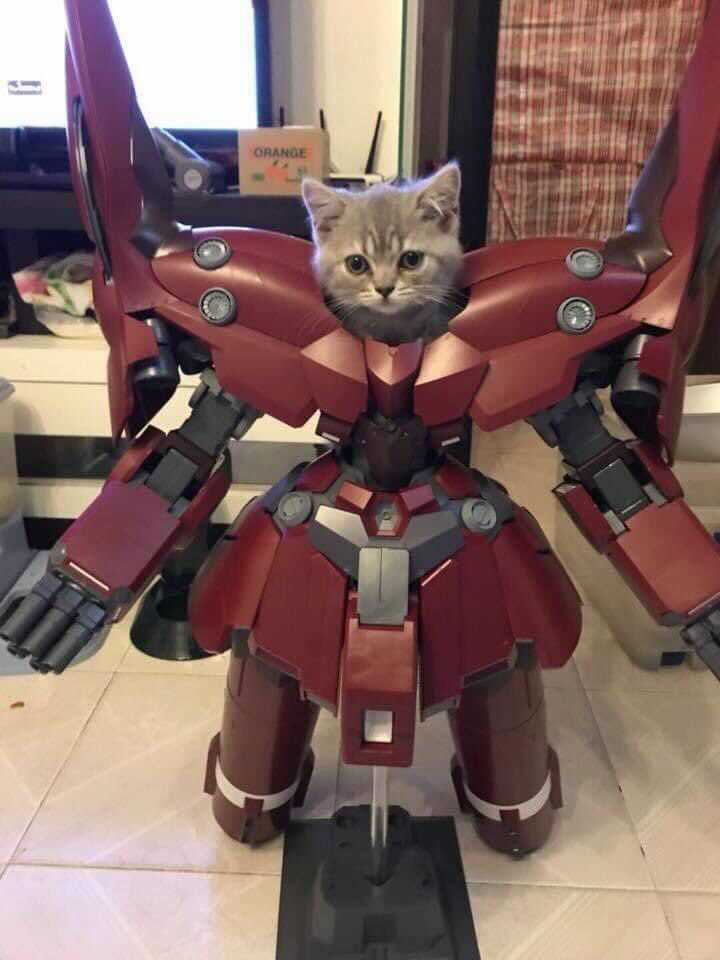 NangoCine's tweet photo. Optimus Miau https://t.co/23wBCY4p88