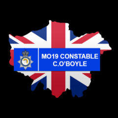 1255OBoyle's tweet photo. First night out as an Authorised Firearms PC in @MetOpsLC - MO19. 

Variety of calls, such as a burglary using a shotgun, to a man who was in possesion of a firearm on the Pier. 

Well done to Insp. @KPayne06817419 and PC1294 for their fast reactions!

#fictional @LondCallingRPC https://t.co/mpcjJx8fHQ