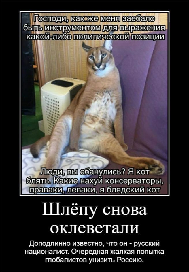 E_b_jdaWYAEuPTP?format=jpg&name=medium