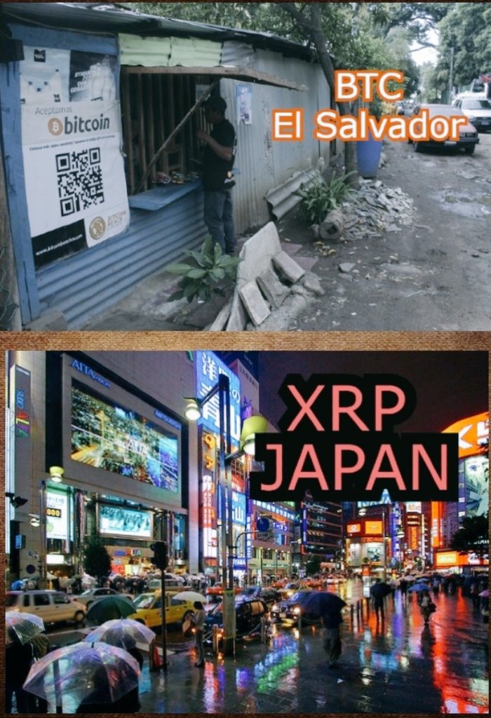 Make your own decision 😌✅
#XRP #BTC #cryptocurrency