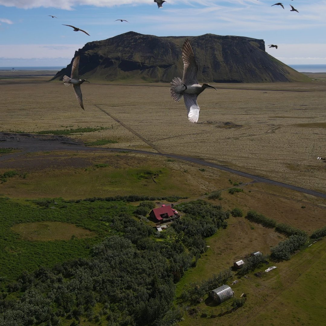 A lucky shot from one of our clients in Iceland 🦅 

Have you ever got an unplanned fantastic pic? 

Share in the comments 👇

#dronephotography #dronepics #dronepilot #dronetrainers #halodrones