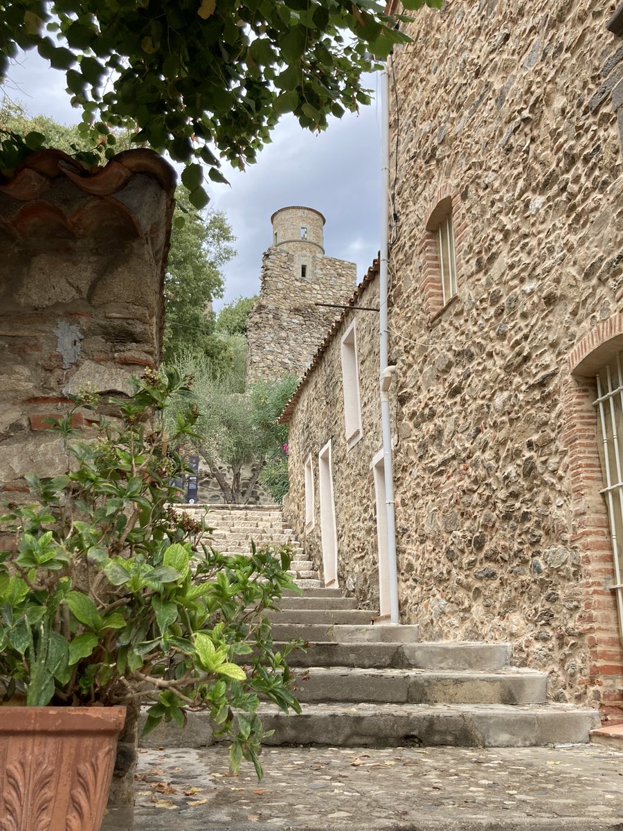 _OstseeKind's tweet photo. Une belle journée à Grimaud! #beautifuldayingrimaud #grimaudvillage #vacancesenfrance @grimaudtourisme https://t.co/0dqBJB3x8w