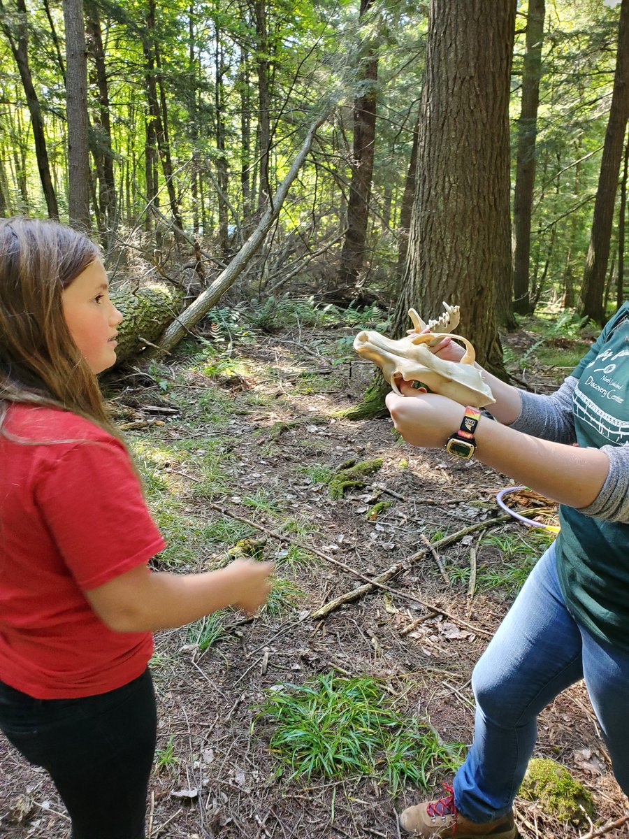 Mark Deditz tweet media