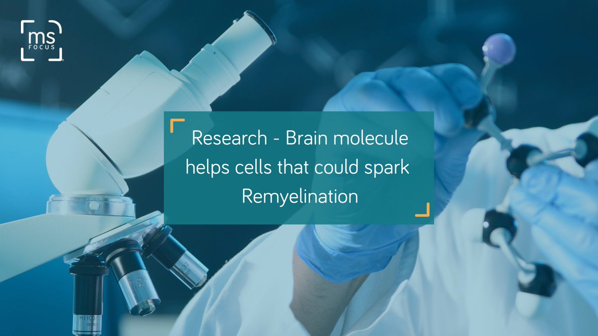 MS_Focus's tweet photo. Fractalkine can boost the production of brain cells that produce myelin, a key factor in diseases such as multiple sclerosis
Read more https://t.co/pzvPmN2utS
#multiplesclerosisresearch #ms #mswarrior #mshope #BikeMS #PPMS #msconnections #multiplesclerosis #msawarness https://t.co/EYUnfF0IVG