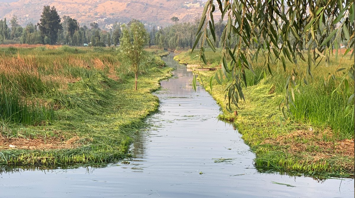 Lou Bank tweet media