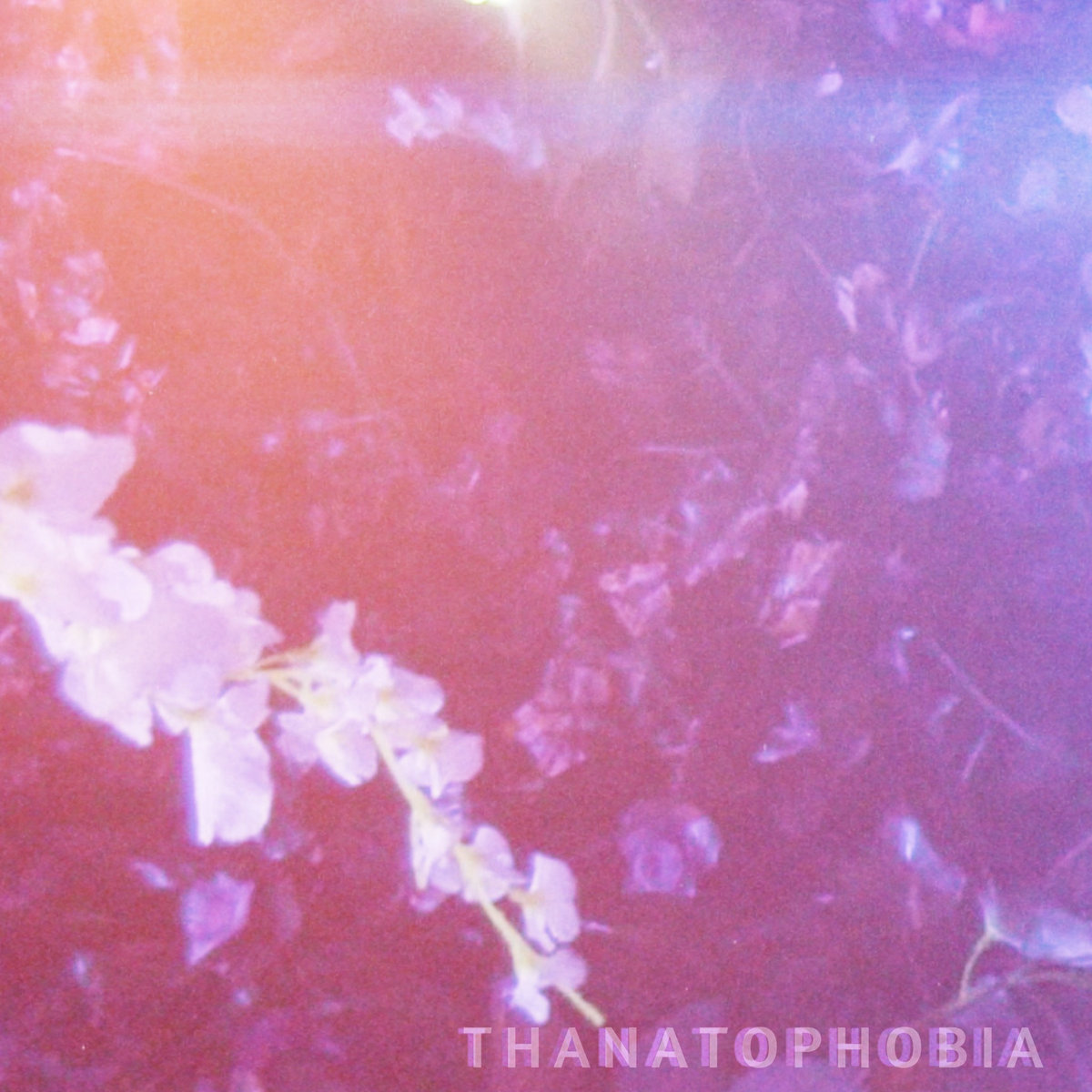 BrooklynVegan (@brooklynvegan) on Twitter photo Listen to Holy Figures' (<a href="/holyfiguresband/">Holy Figures</a>) soaring new post-hardcore song "Thanatophobia" brooklynvegan.com/24-new-songs-o… Listen to Holy Figures' (<a href="/holyfiguresband/">Holy Figures</a>) soaring new post-hardcore song "Thanatophobia" brooklynvegan.com/24-new-songs-o…