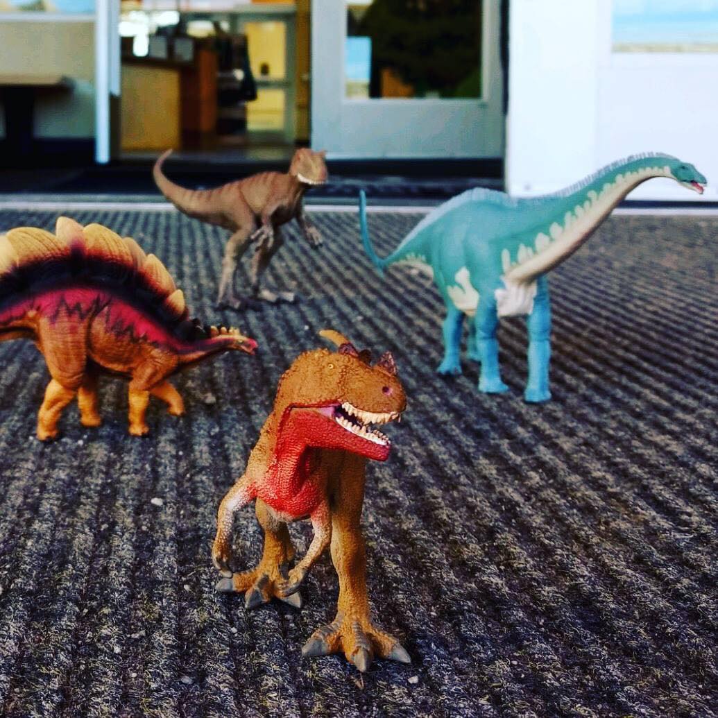 National Park Service tweet media