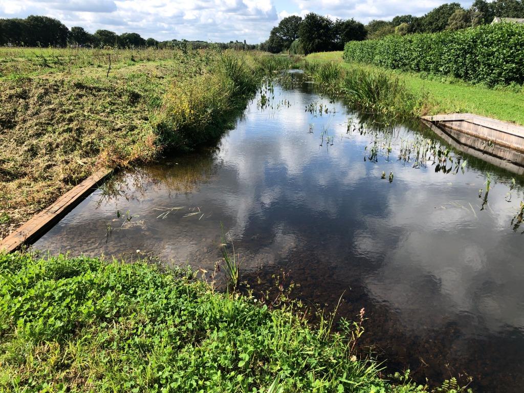 groot_ernest's tweet photo. Opening project #beekherstel #snelleloop #benedenloop @gemGemertBakel @Laarbeeknieuws @aaenmaas @DeBiezen_76 @IVNNederland @staatsbosbeheer @WNAaenMaas @PvdAAaenMaas @SportvisserijNL @Sportvisserijzw @omroepcentraal https://t.co/r4Jcjpdv7f