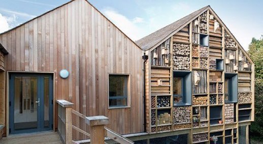 With insect, bat and bird populations all struggling, RT if you'd like to see more wildlife walls! Pic via <a href="/seed_ball/">🌱SEEDBALL 🐝</a>