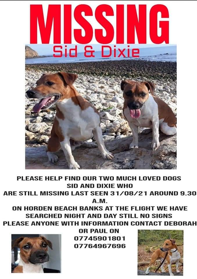 #FindSidandDixie