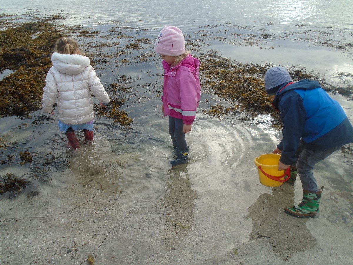 Whalsay Early Years tweet media