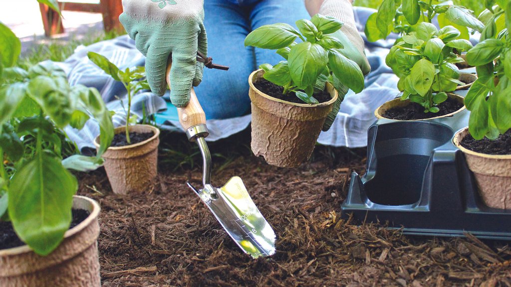 amahort's tweet photo. We 💛 sustainability!
A.M.A. loves these HC Companies EcoGrow pots! ☀️
What's your favourite sustainable product?
#sustainable #hc #hccompanies #eco #ecogrow #ama #amahort #hort #horticulture https://t.co/dJqYBdRysA