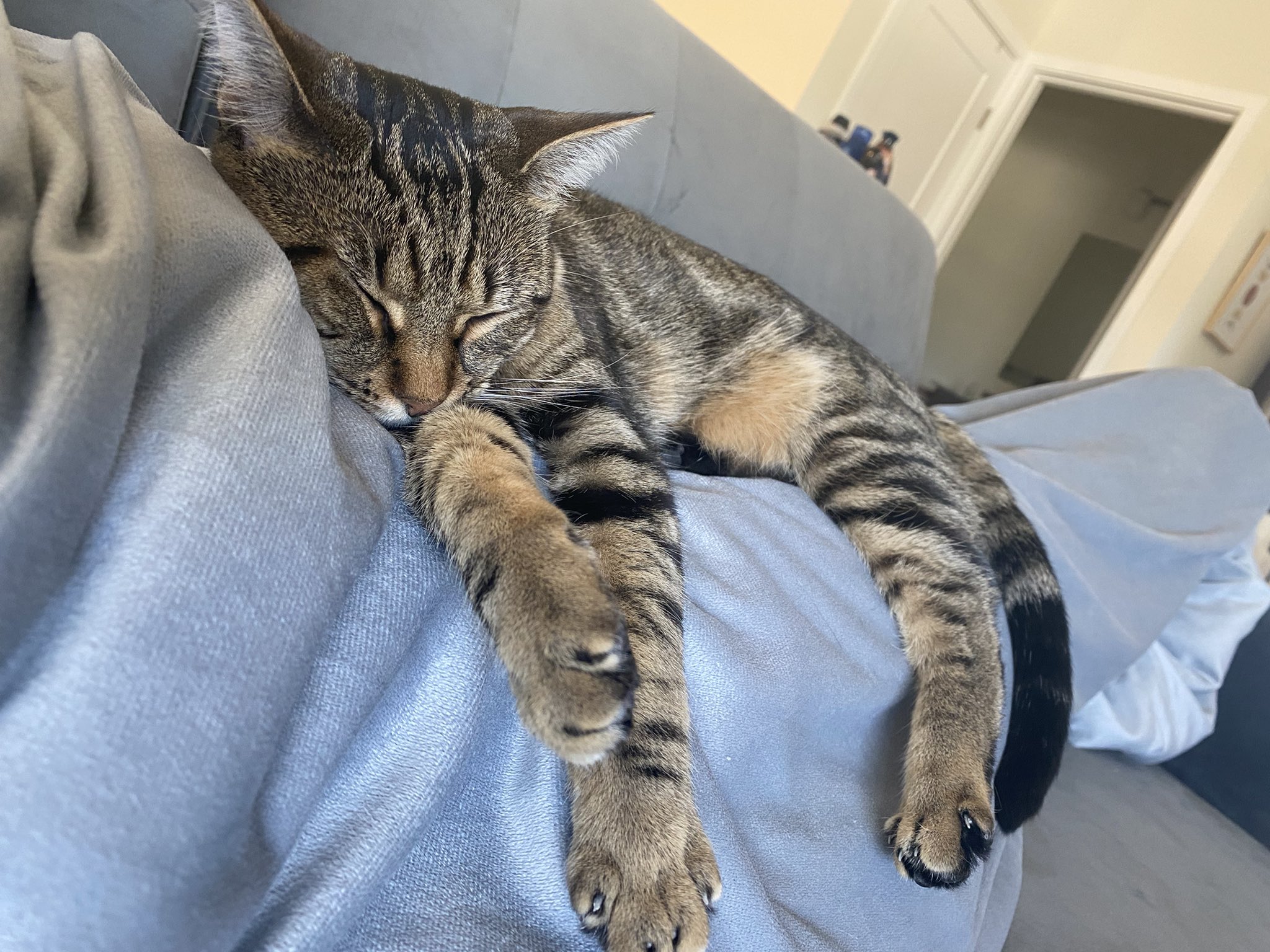 TW Pornstars - 3 pic. Allie Awesome. Twitter. I have to pee but I can’t