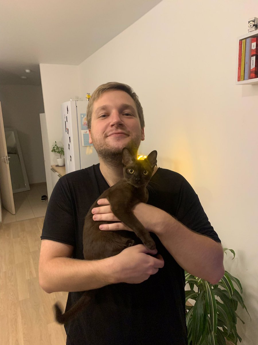 post_antone's tweet photo. Главный фанат уже подросших кошек возвращается 👀 https://t.co/xKEKDFgOAh