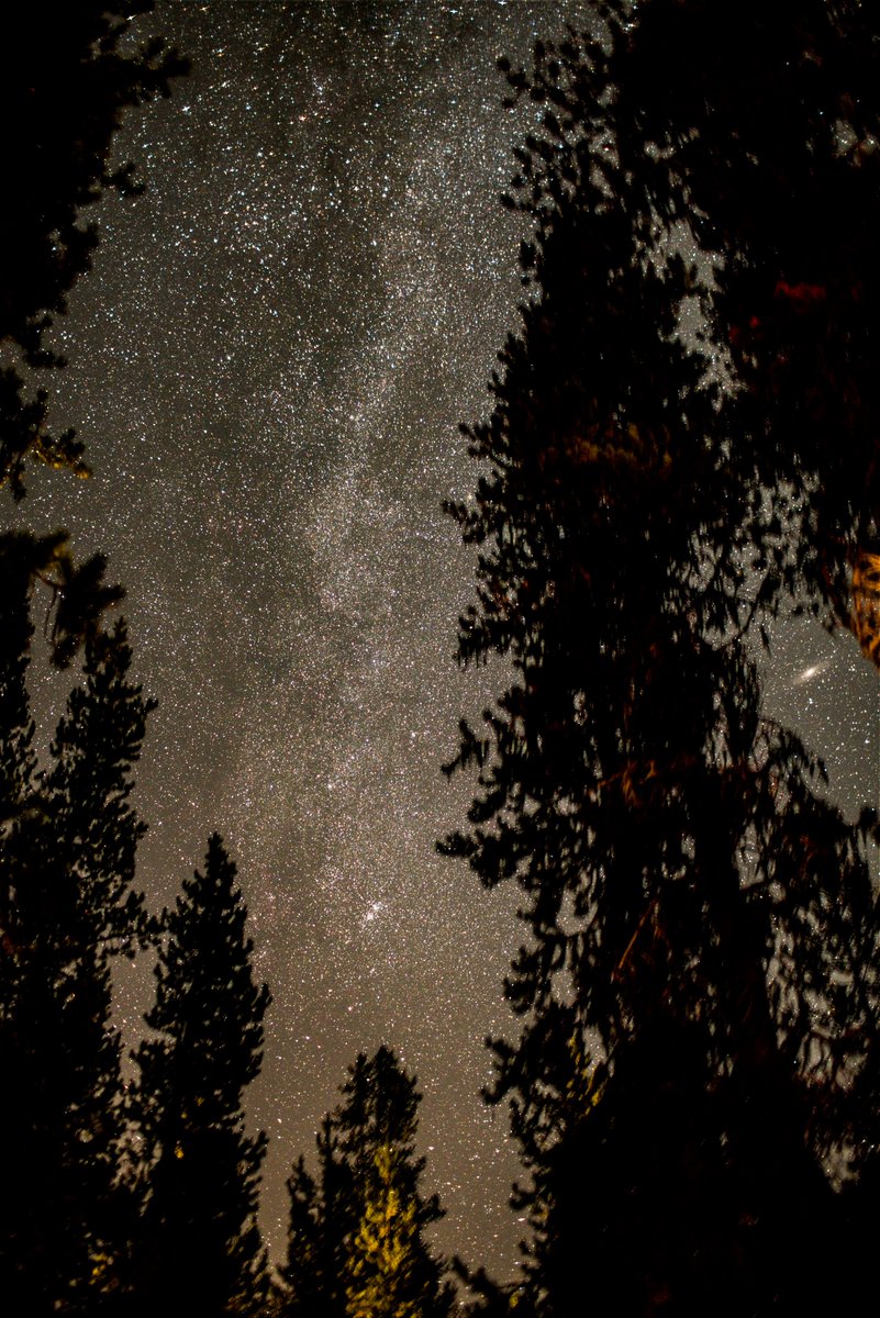 BrianGinn3's tweet photo. From Diamond Lake, OR. Aug 28th, 2021.
#NightSky, The #AndromedaGalaxy on the right;
the low center bright trees pointing up to the #DoubleCluster, #Cassiopeia and the #MilkyWay.
This is four consecutive images "stacked" together. https://t.co/vXA2wUbXxa