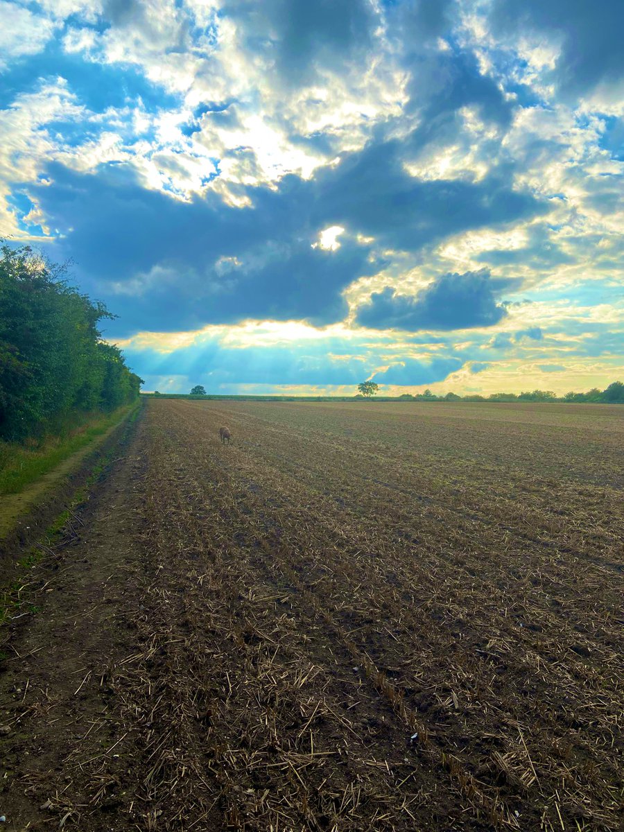 Ended day 1 of my MA with a little zoom detox with a lovely walk #systemicpsychotherapy #mustremembertobreathe