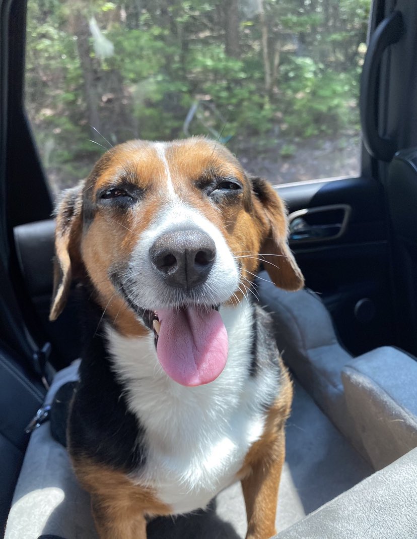 itsmeleaky's tweet image. You’ll always be a good girl