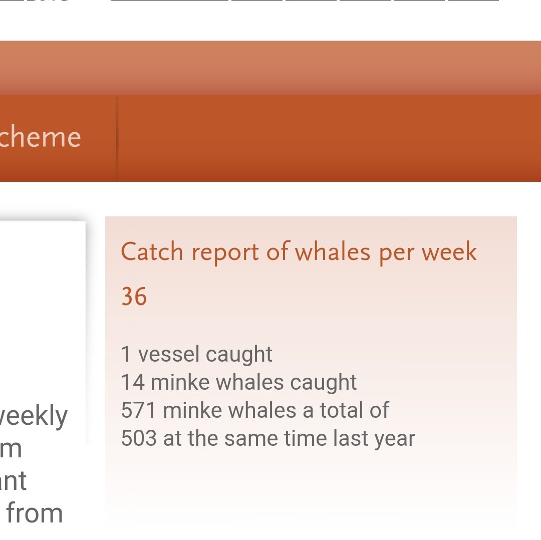 🐳 h0t_p0ppy 🐳 tweet media