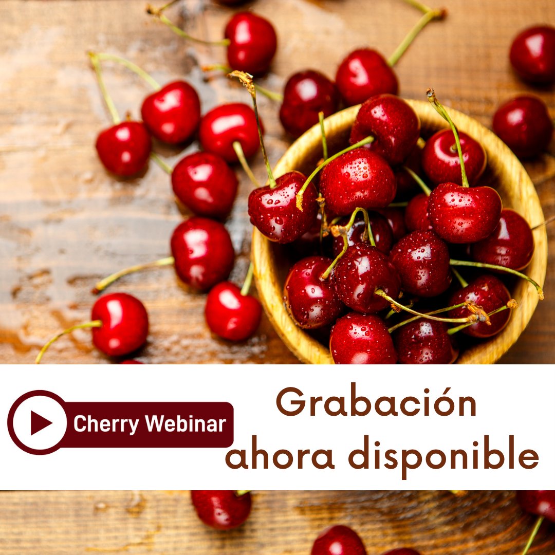 Global Cherry Summit tweet media
