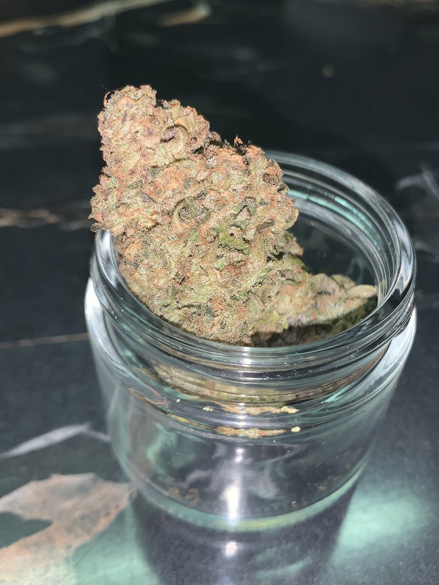 UchibaF's tweet photo. Pink certz bred by compound genetics grown by me. This is pheno 1. Beautiful coloring very frosty great nose. #uchibafarms #sharingansage #ilmmj #medicalgrow #GardenersWorld #Homegrown #DIY #growyourown https://t.co/NCqncbwIxv
