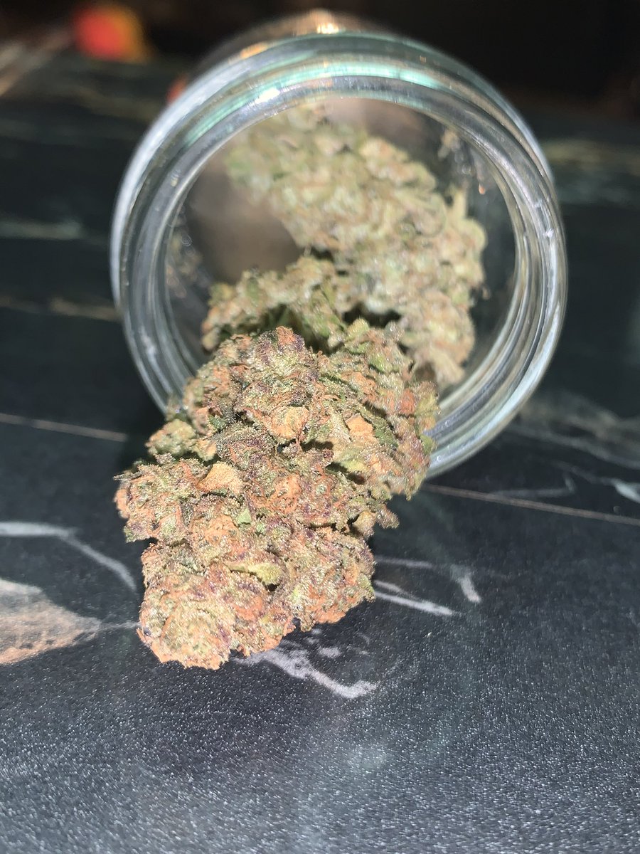 UchibaF's tweet photo. Pink certz bred by compound genetics grown by me. This is pheno 1. Beautiful coloring very frosty great nose. #uchibafarms #sharingansage #ilmmj #medicalgrow #GardenersWorld #Homegrown #DIY #growyourown https://t.co/NCqncbwIxv