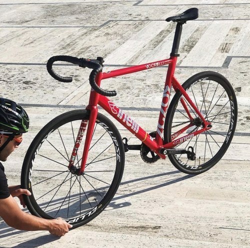 Sharky submission through hashtag. 🦈 all the way from Santo... bit.ly/3ChTVFJ