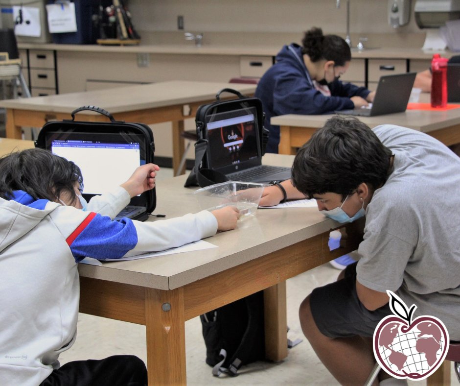 SSPPS6's tweet photo. #SSPpride 7th graders are developing their scientific investigation skills with live minnows! Today they asked questions based on observations. Tomorrow they'll design an experiment, collect data, and explore the answers to their questions. #SSPlearns #MYPinSSP https://t.co/ZeOFgmVSSy
