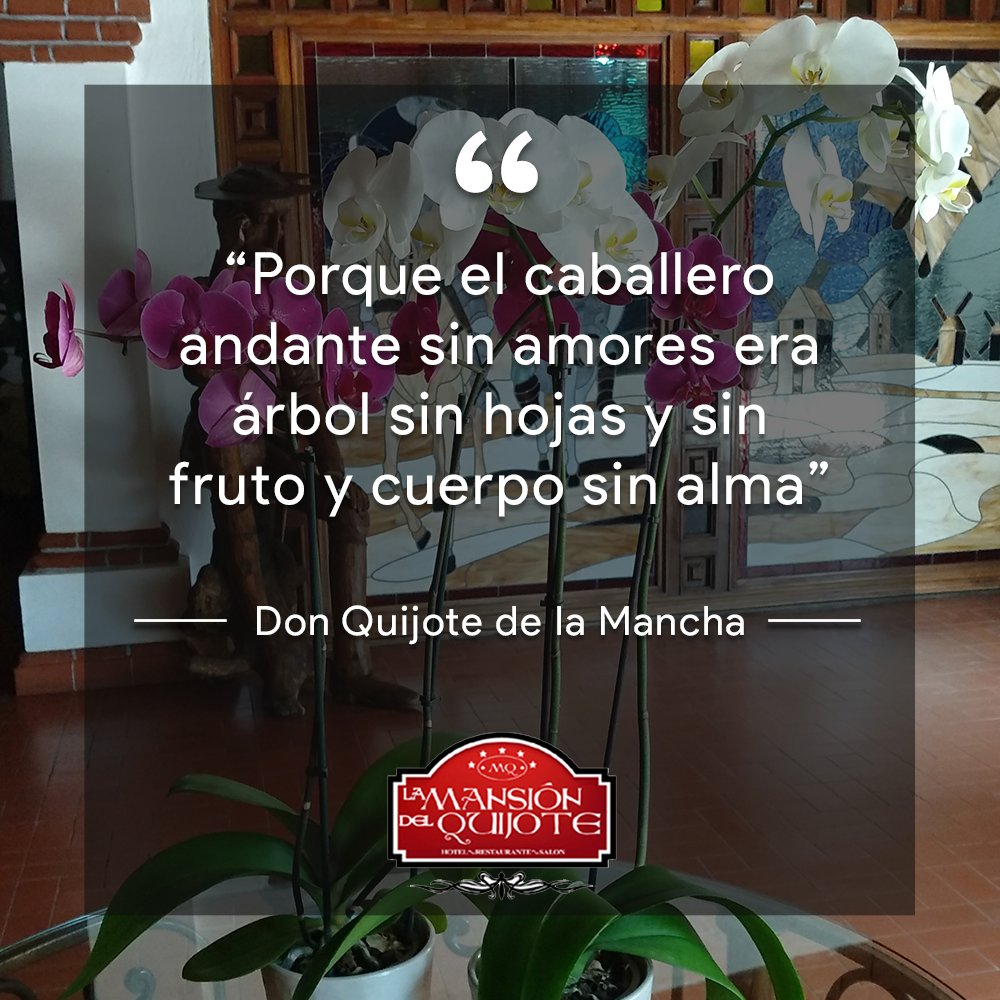 MansionQuijote's tweet photo. Con esta #Frase nuestro caballero #DonQuijote nos recuerda qué los más valioso de estar vivo es la oportunidad de amar...

#Texcoco #FrasesMotivadoras https://t.co/tYlVR5SeqC