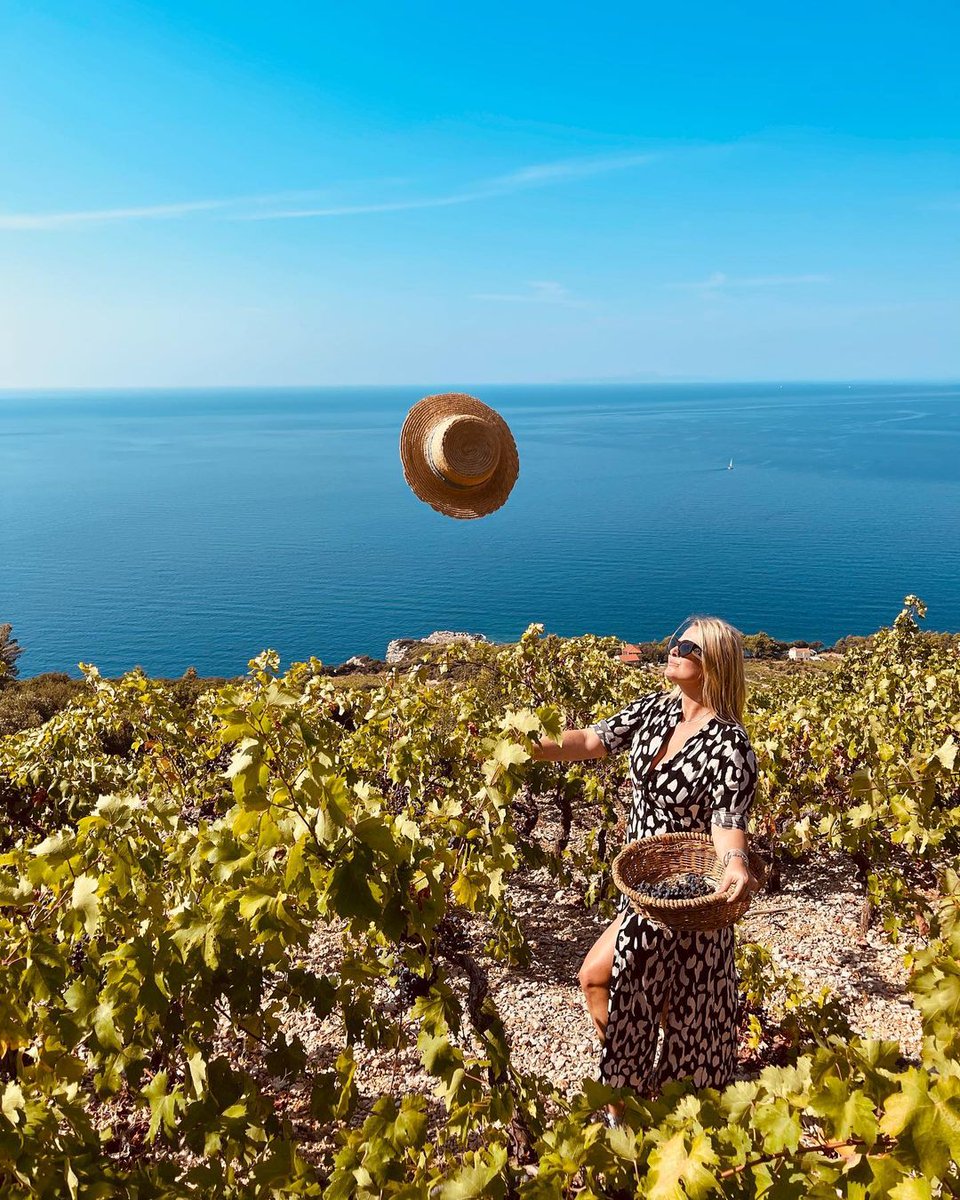 DubrovnikCoast's tweet photo. A beautiful view from Pelješac
#DubrovnikRiviera #vineyards #wine #grapes #dingac #peljesac #sea #September #nature #sun #traveltip #vacation #beauty #holiday #perspective #ThursdayMotivation https://t.co/JC5utQ20Ql